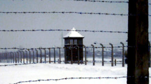 Giorno della memoria spettacolo